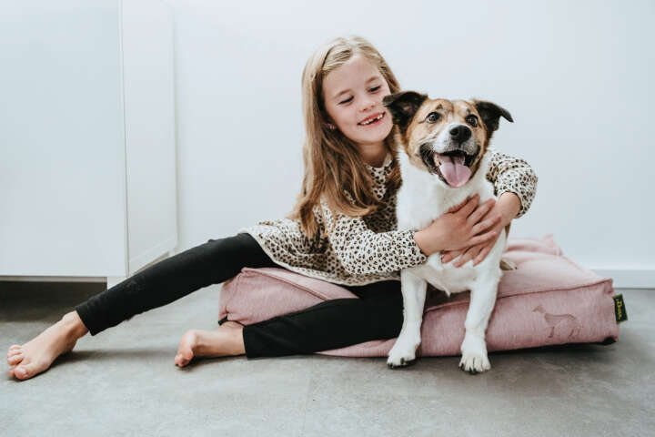 HUNTER Hundekissen Inari